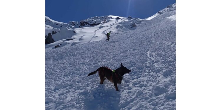Nella base di Cuneo Levaldigi. Servizio anticipato a domani