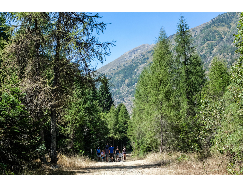 Estate San Martino con alta pressione, fino 10 gradi oltre media