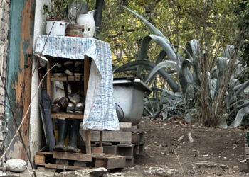 L'avvocato in Comune per avere indicazioni sul progetto