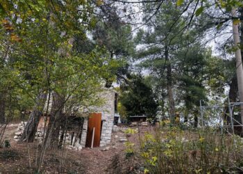 Arrivano proposte gratuite di pediatri