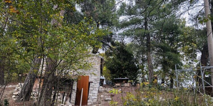 Arrivano proposte gratuite di pediatri