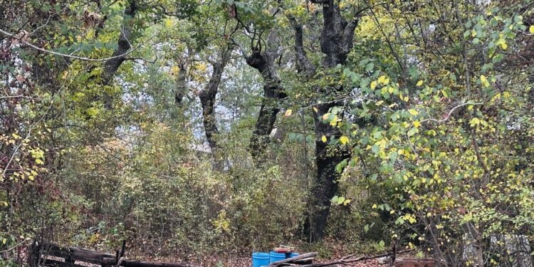 Masciulli spiega che i minori faranno una serie di controlli