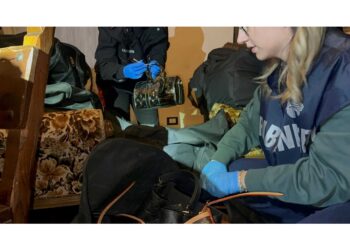 Trovata dai carabinieri parte della refurtiva per 400mila euro