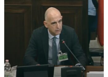 Durante l'audizione in Commissione Cultura-Istruzione