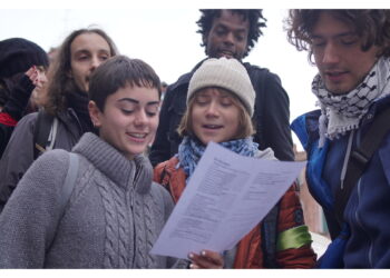 L'attivista svedese sul Ponte di Rialto con gli ambientalisti