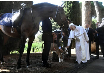 'Tutti dovrebbero fare attività