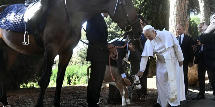 'Tutti dovrebbero fare attività