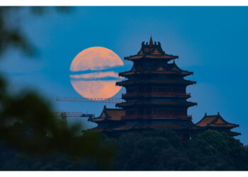 Vecchio di 1500 anni