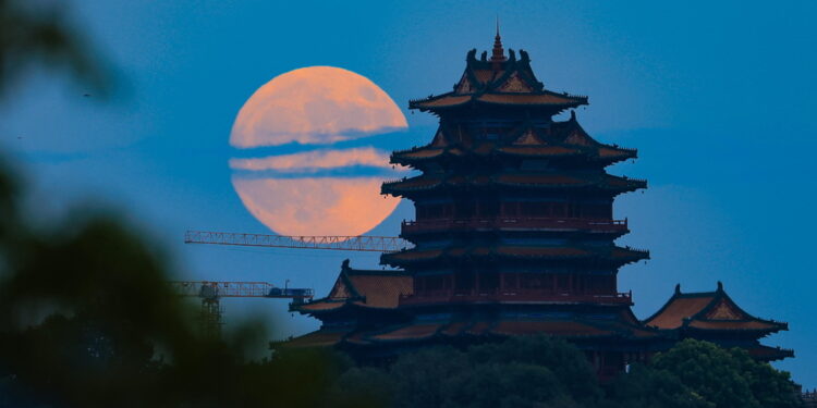 Vecchio di 1500 anni