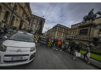 Consulta 'non rientrano in competenze statali'