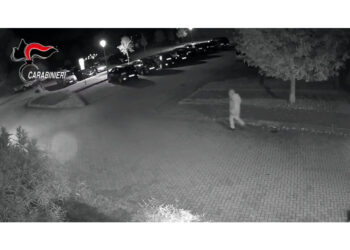 Due i fascicoli aperti