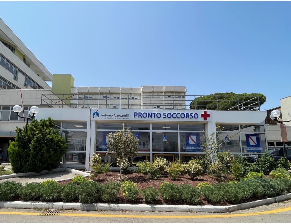 Intossicazione da funghi velenosi, 25 casi in 5 giorni a Napoli