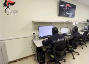 Operazione dei carabinieri del Nas nel crotonese