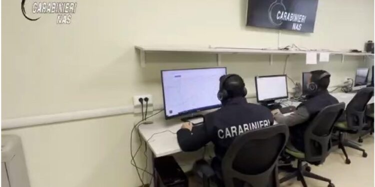 Operazione dei carabinieri del Nas nel crotonese