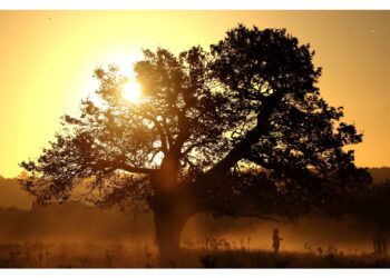 Rimonta anticiclonica avrà il suo picco tra domani e mercoledì