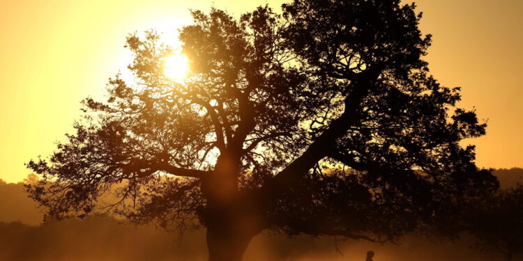 Rimonta anticiclonica avrà il suo picco tra domani e mercoledì