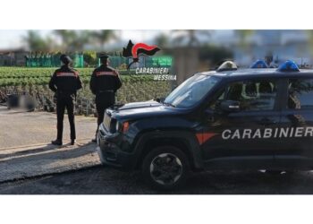 Dieci indagati nel Messinese