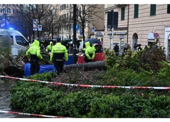 Ma le difese puntano il dito contro Municipio