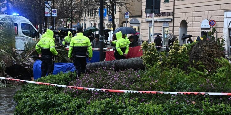 Ma le difese puntano il dito contro Municipio