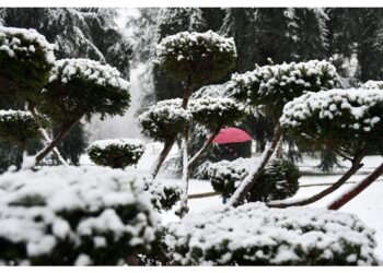 Da stamattina fiocchi in montagna