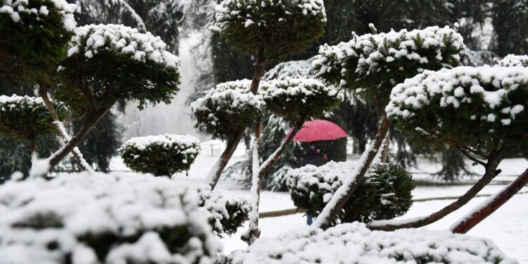Da stamattina fiocchi in montagna