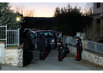 L'uomo ha sparato due colpi