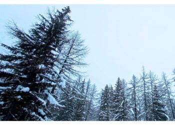 Precipitazioni su tutta la regione alpina