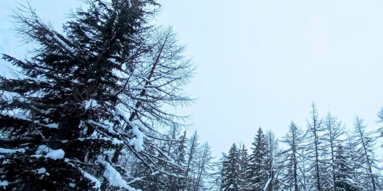 Precipitazioni su tutta la regione alpina