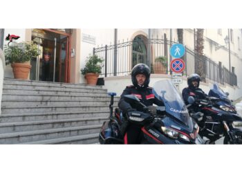 Pelicane sarebbe stato ucciso nell'ambito di una guerra di mafia