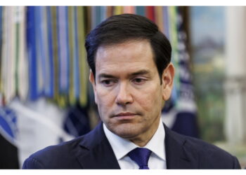 Su piano pace: 'Sviluppiamo idee con contributo di Kiev e Mosca'