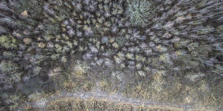 La prossima settimana la decisione sulla potestà genitoriale