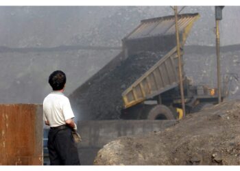 'La sospensione dei controlli sull'export vale per 12 mesi'