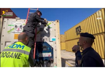 175 kg nascosti tra il pesce surgelato