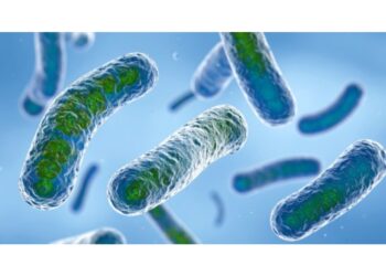 Ats al lavoro per identificare l'origine