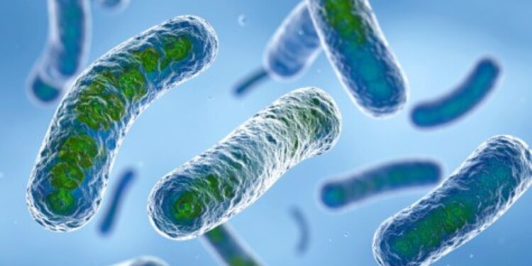 Ats al lavoro per identificare l'origine