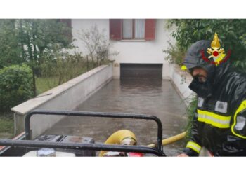 Potrebbero aggravare la situazione precaria nel Goriziano