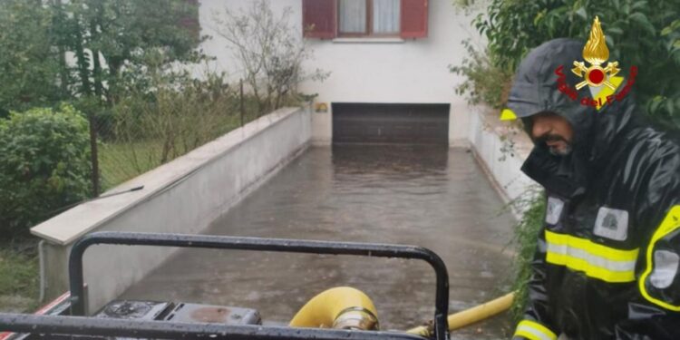 Potrebbero aggravare la situazione precaria nel Goriziano