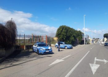 Operazione della polizia di Stato nei confronti di due persone