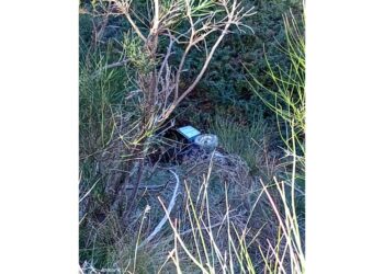 Incidente nel Crotonese. Vittima proprietario