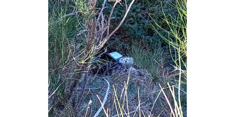 Incidente nel Crotonese. Vittima proprietario