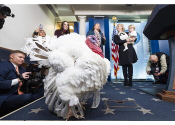 'Le ha siflate con la firma automatica