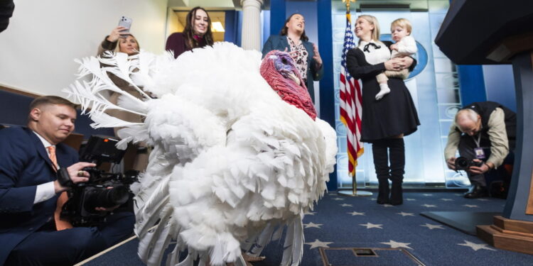 'Le ha siflate con la firma automatica