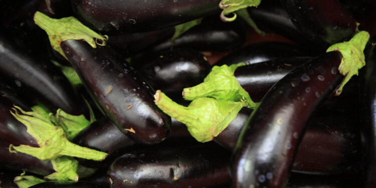 Ricerca di sette Paesi coordinata da Unito