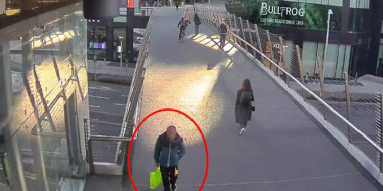 Lo ha detto al gip: 'Lavoravo lì e mi hanno buttato fuori'