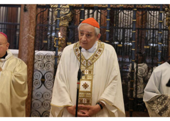 "Combattere la logica della forza delle armi"