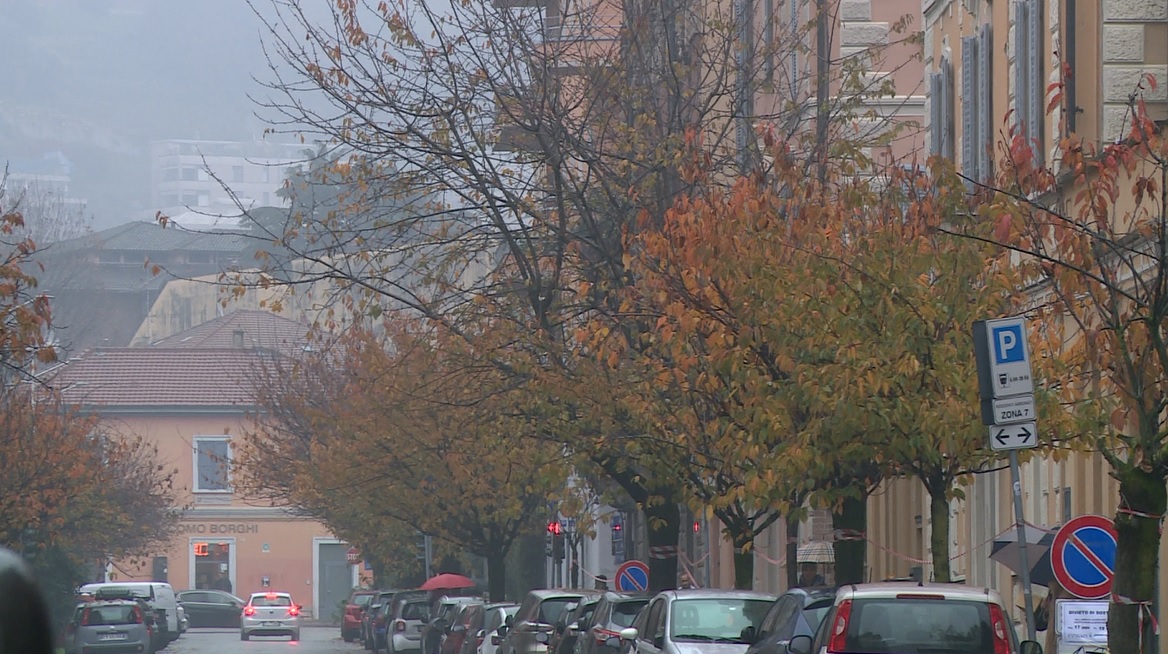 Como, scoppia la rivolta dei ciliegi: addio ai filari anche in via XX Settembre. Avviata la petizione online