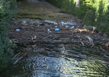lago sporco passeggiata di Villa Olmo