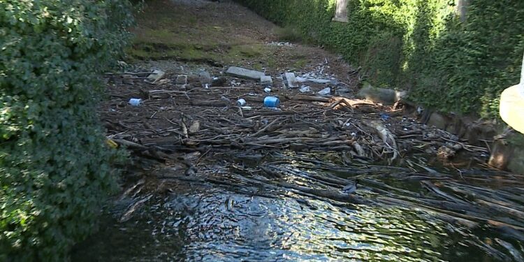 lago sporco passeggiata di Villa Olmo
