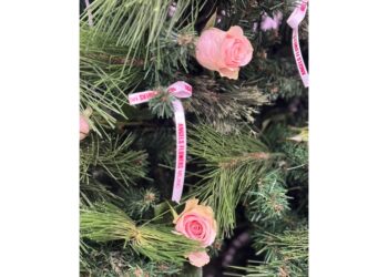 Volontarie li recuperano per portare sorrisi in ospedali Milano