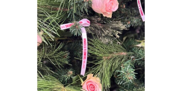 Volontarie li recuperano per portare sorrisi in ospedali Milano